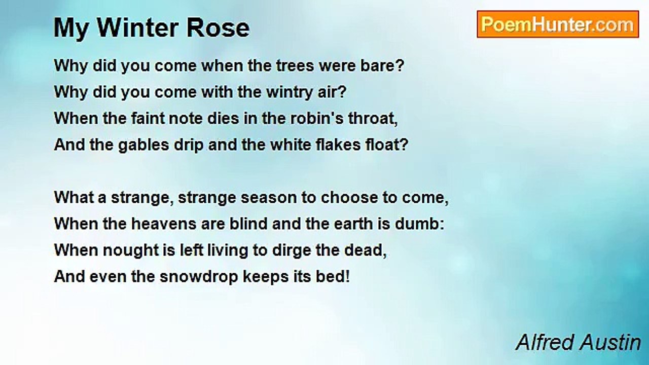 Alfred Austin - My Winter Rose