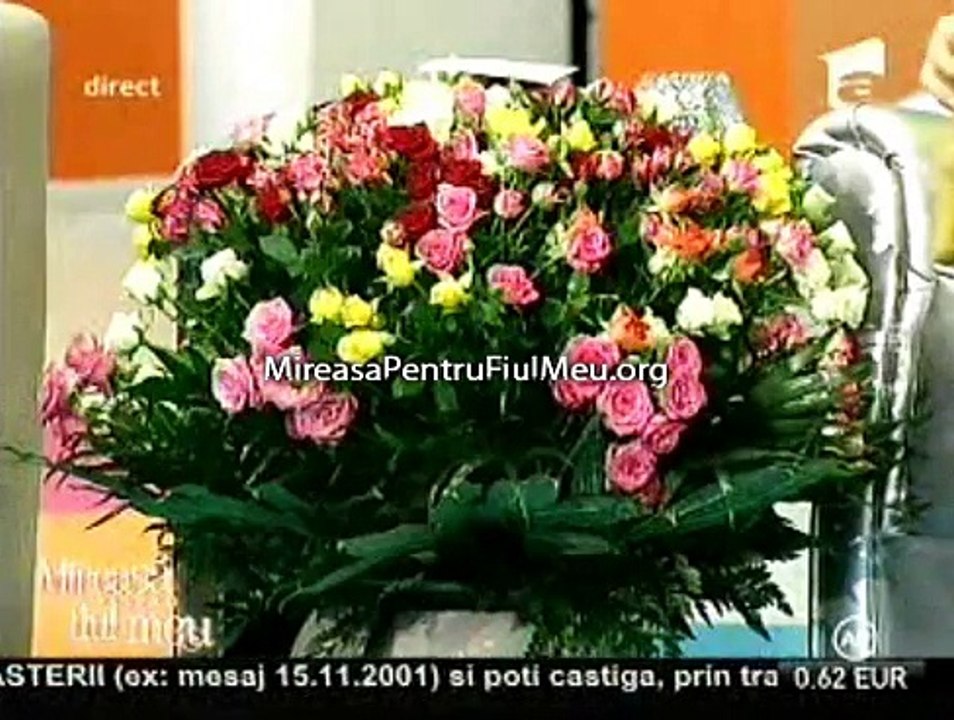 MPFM4-10.11-2014-14.00-1