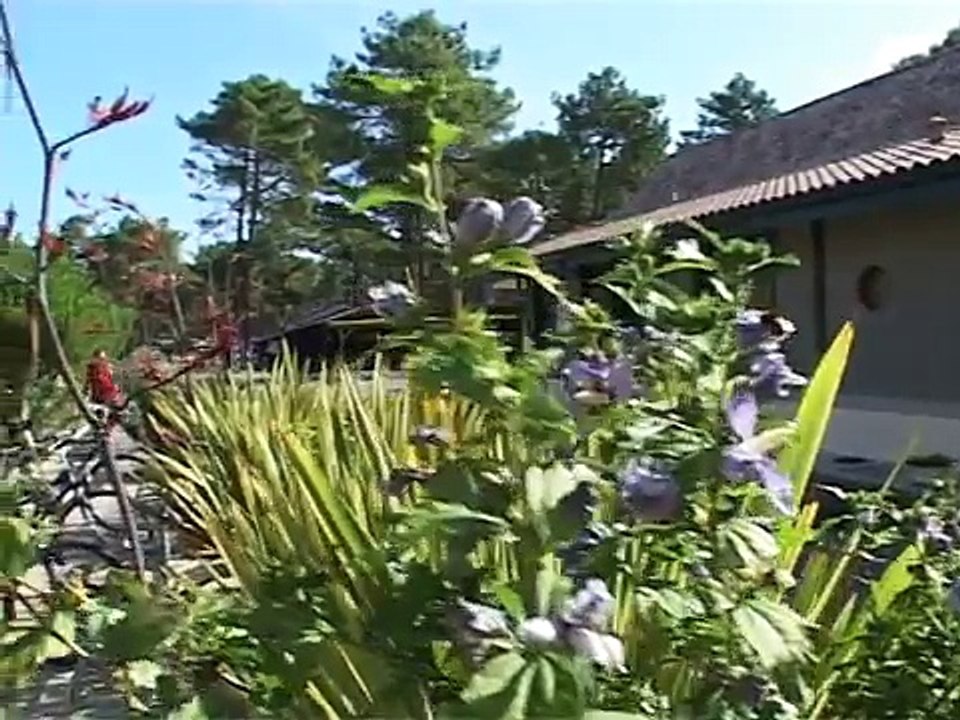 Camping Gironde - Hourtin Plage - Camping Airotel Cote Argent