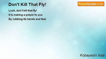 Kobayashi Issa - Don't Kill That Fly!