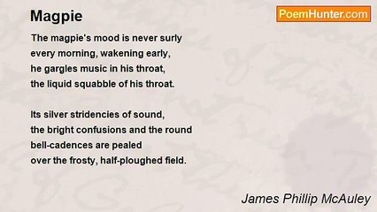 James Phillip McAuley - Magpie