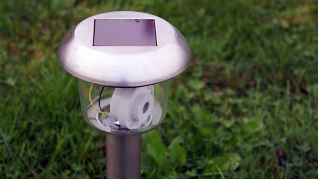 FIAC Hors les murs au Jardin des Plantes : Bug's Life