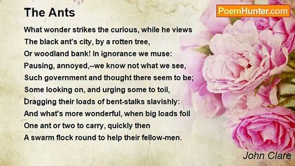 John Clare - The Ants
