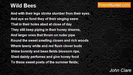 John Clare - Wild Bees