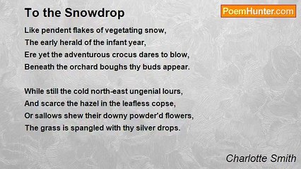 Charlotte Smith - To the Snowdrop