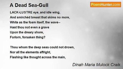 Dinah Maria Mulock Craik - A Dead Sea-Gull