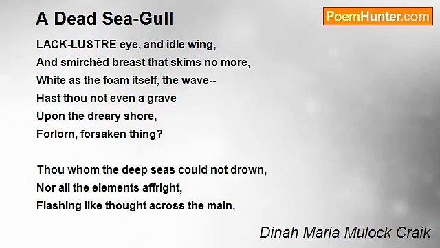 Dinah Maria Mulock Craik - A Dead Sea-Gull