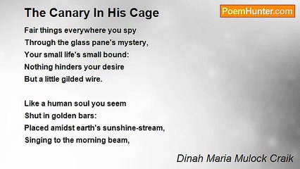 Dinah Maria Mulock Craik - The Canary In His Cage