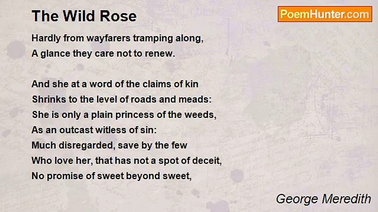 George Meredith - The Wild Rose
