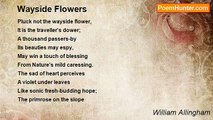 William Allingham - Wayside Flowers