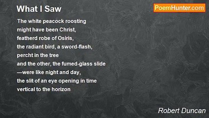 Robert Duncan - What I Saw