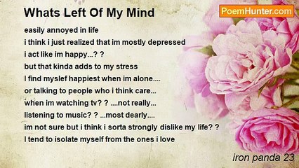 iron panda 23 - Whats Left Of My Mind