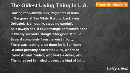 Larry Levis - The Oldest Living Thing In L.A.