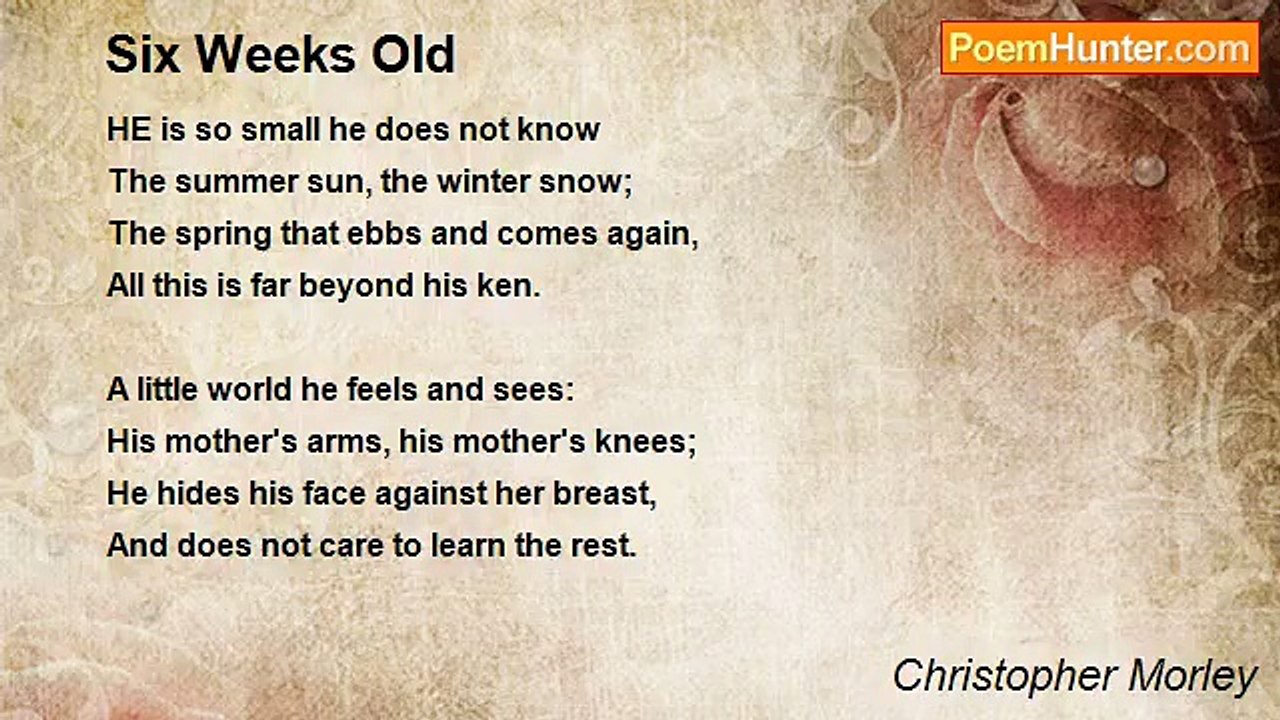 Christopher Morley - Six Weeks Old