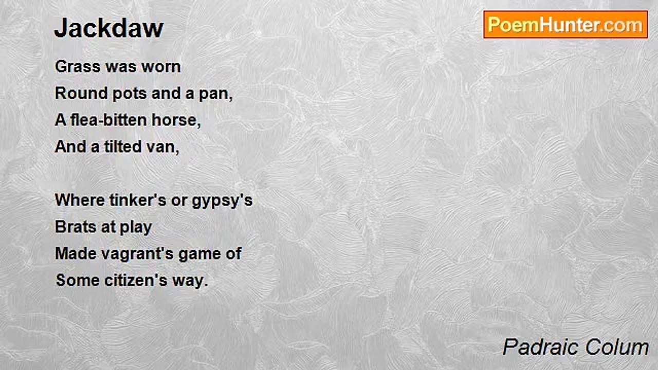 Padraic Colum - Jackdaw