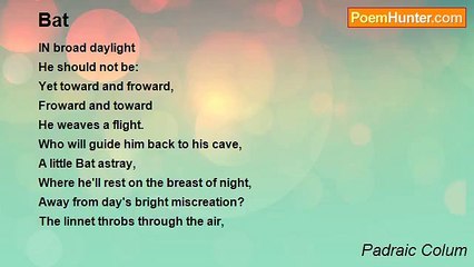 Padraic Colum - Bat