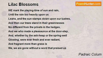 Padraic Colum - Lilac Blossoms