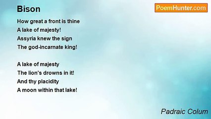 Padraic Colum - Bison