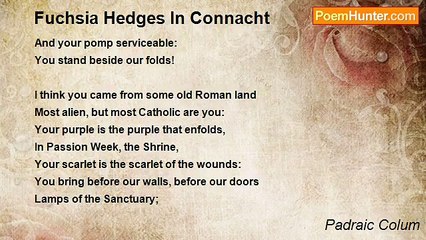 Padraic Colum - Fuchsia Hedges In Connacht