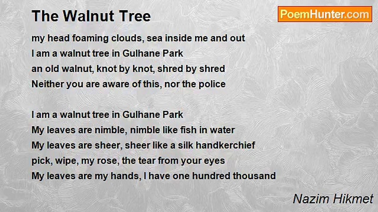 Nazim Hikmet - The Walnut Tree
