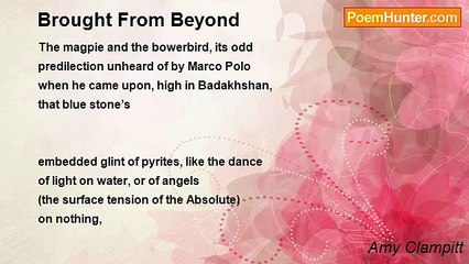 Amy Clampitt - Brought From Beyond