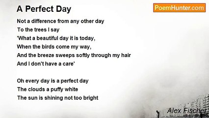 Alex Fischer - A Perfect Day
