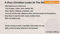 Czeslaw Milosz - A Poor Christian Looks At The Ghetto