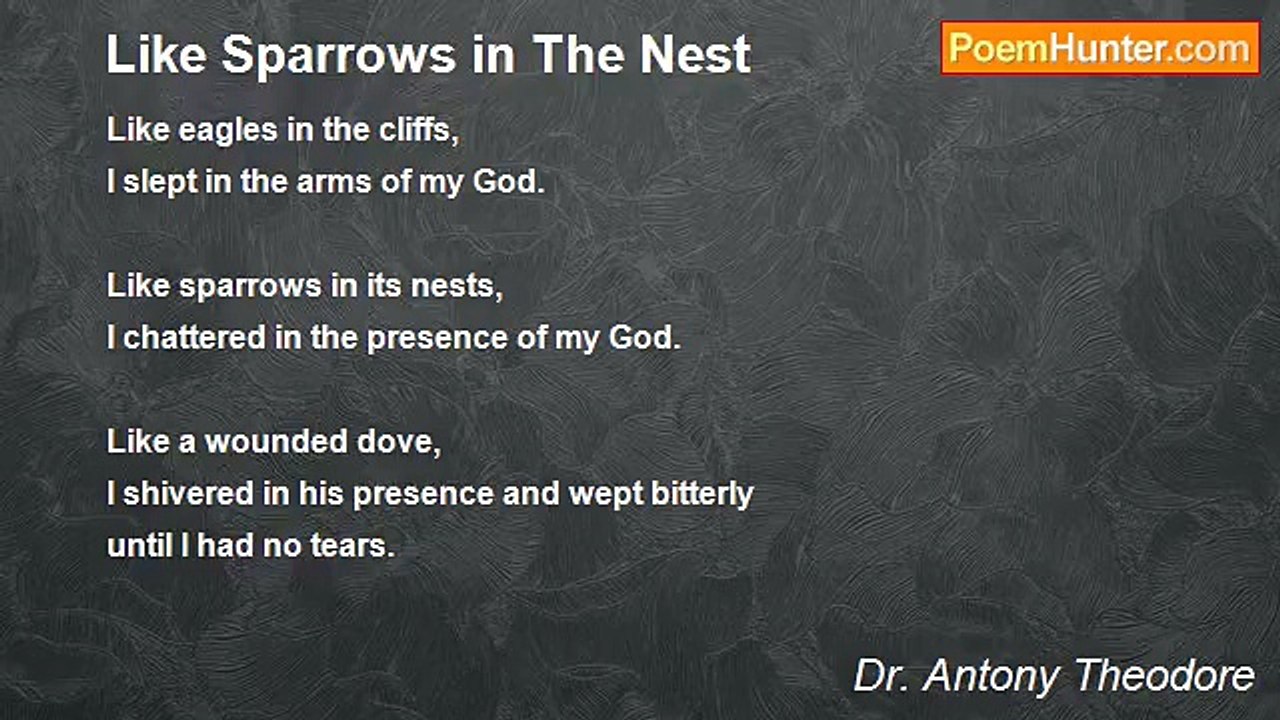 Dr. Antony Theodore - Like Sparrows in The Nest
