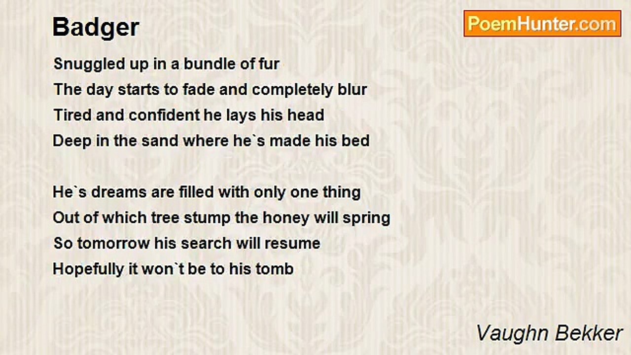Vaughn Bekker - Badger