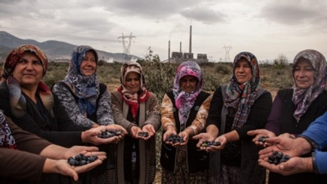 Termik Santral Projesinde Danıştay Kararının Gerekçesi Belli Oldu