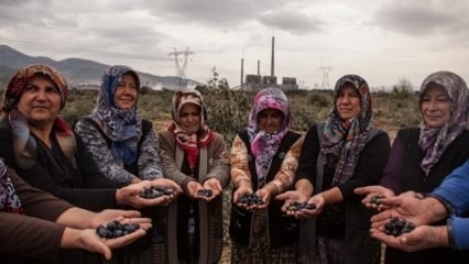 Termik Santral Projesinde Danıştay Kararının Gerekçesi Belli Oldu