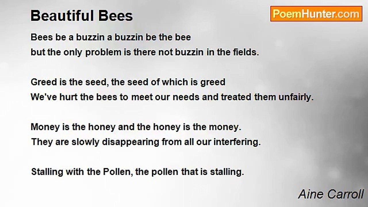 Aine Carroll - Beautiful Bees