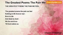 Shalom Freedman - The Greatest Poems The Pain We Feel