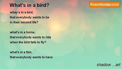 shadow ...art - What's in a bird?