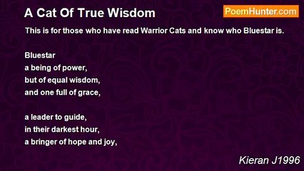 Kieran J1996 - A Cat Of True Wisdom