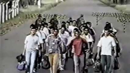 brazilian marine haircuts95