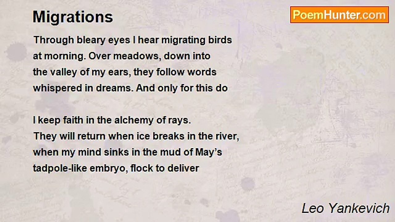 Leo Yankevich - Migrations
