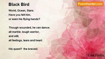 Laa Finita - Black Bird