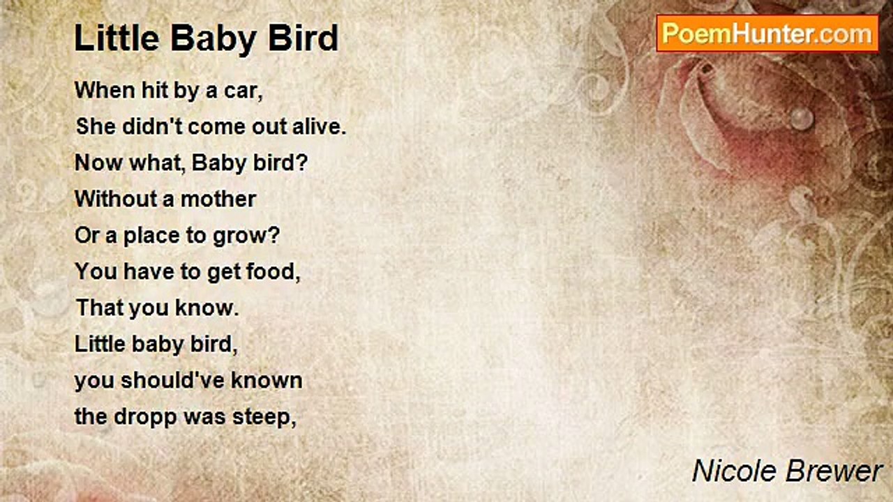 Nicole Brewer - Little Baby Bird