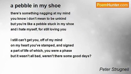 Peter Strugnell - a pebble in my shoe