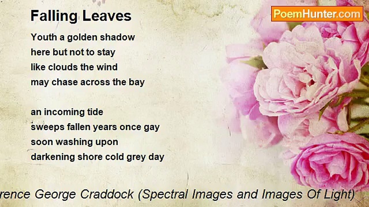 Terence George Craddock (Spectral Images and Images Of Light) - Falling Leaves