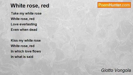 Giotto Vongola - White rose, red