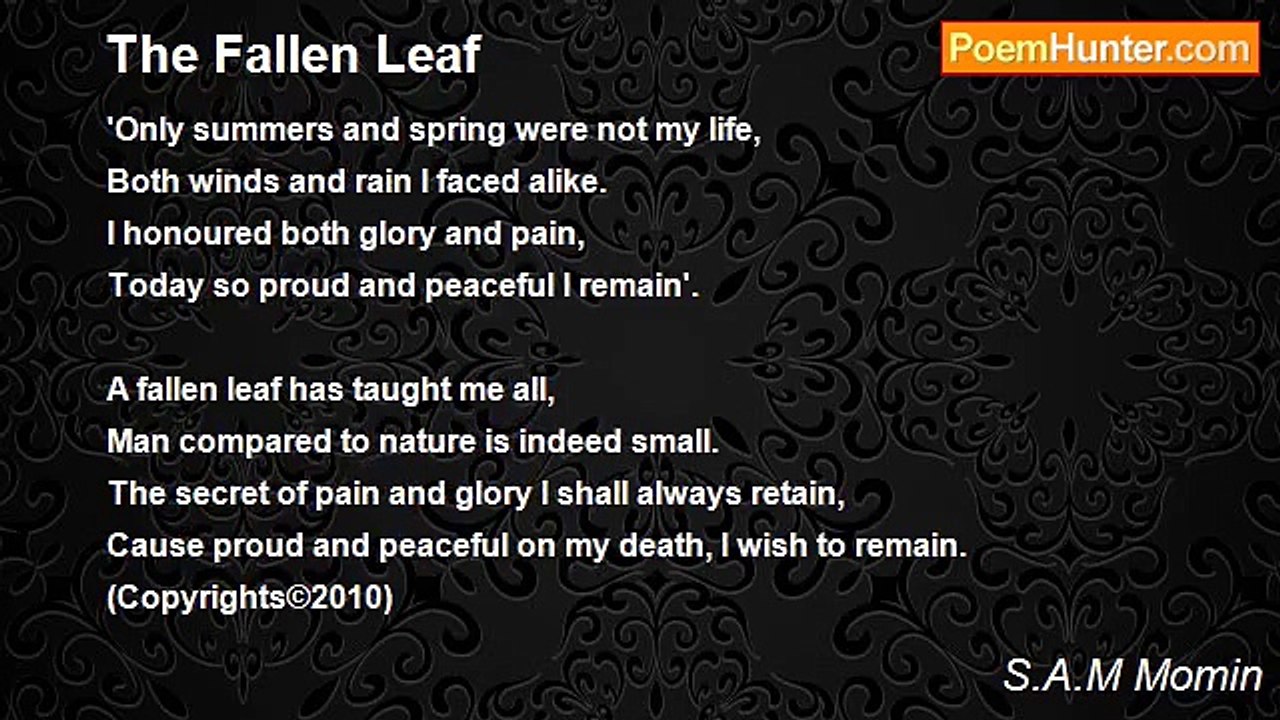 S.A.M Momin - The Fallen Leaf