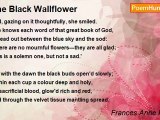 Frances Anne Kemble - The Black Wallflower
