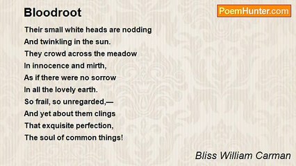 Bliss William Carman - Bloodroot