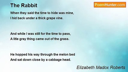 Elizabeth Madox Roberts - The Rabbit