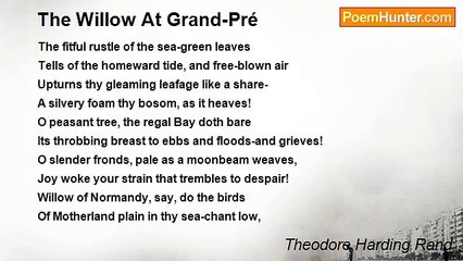 Theodore Harding Rand - The Willow At Grand-Pré