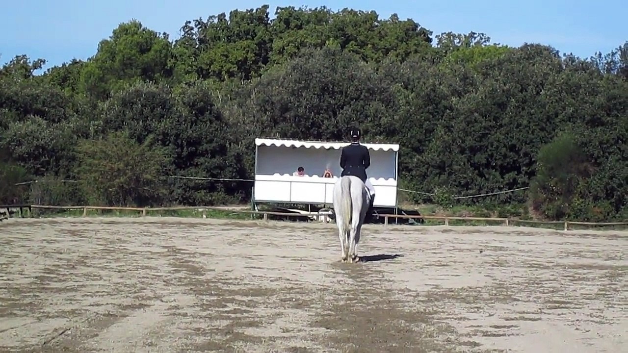 Oxand pro4 Vedène 08-11-14 - Dressage part1