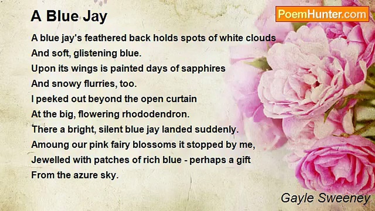 Gayle Sweeney - A Blue Jay