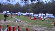 agility brignoles nov 14 dolce open